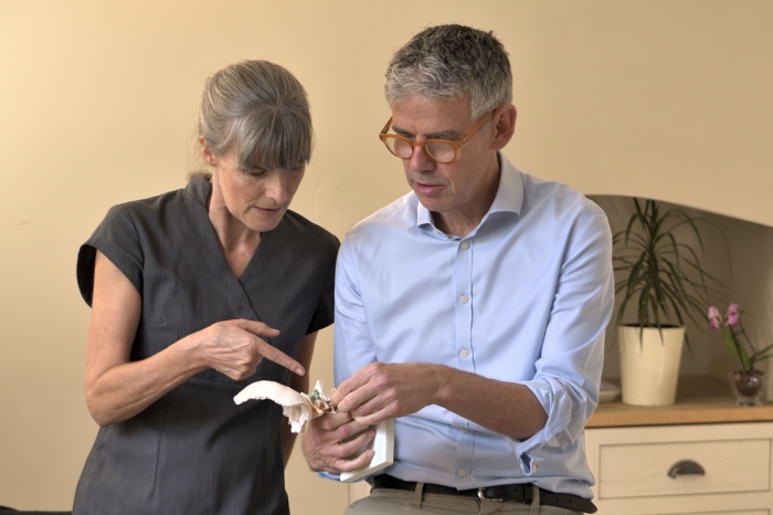practitioners discuss joint with skeleton